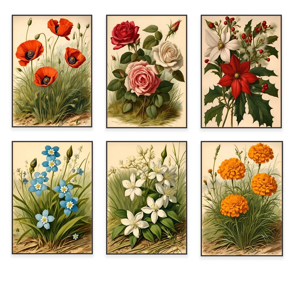 Vintage botanical print, carnation, daisy, canna, marigold, forget-me-not, rose, sunflower, white lily floral farmhouse poster