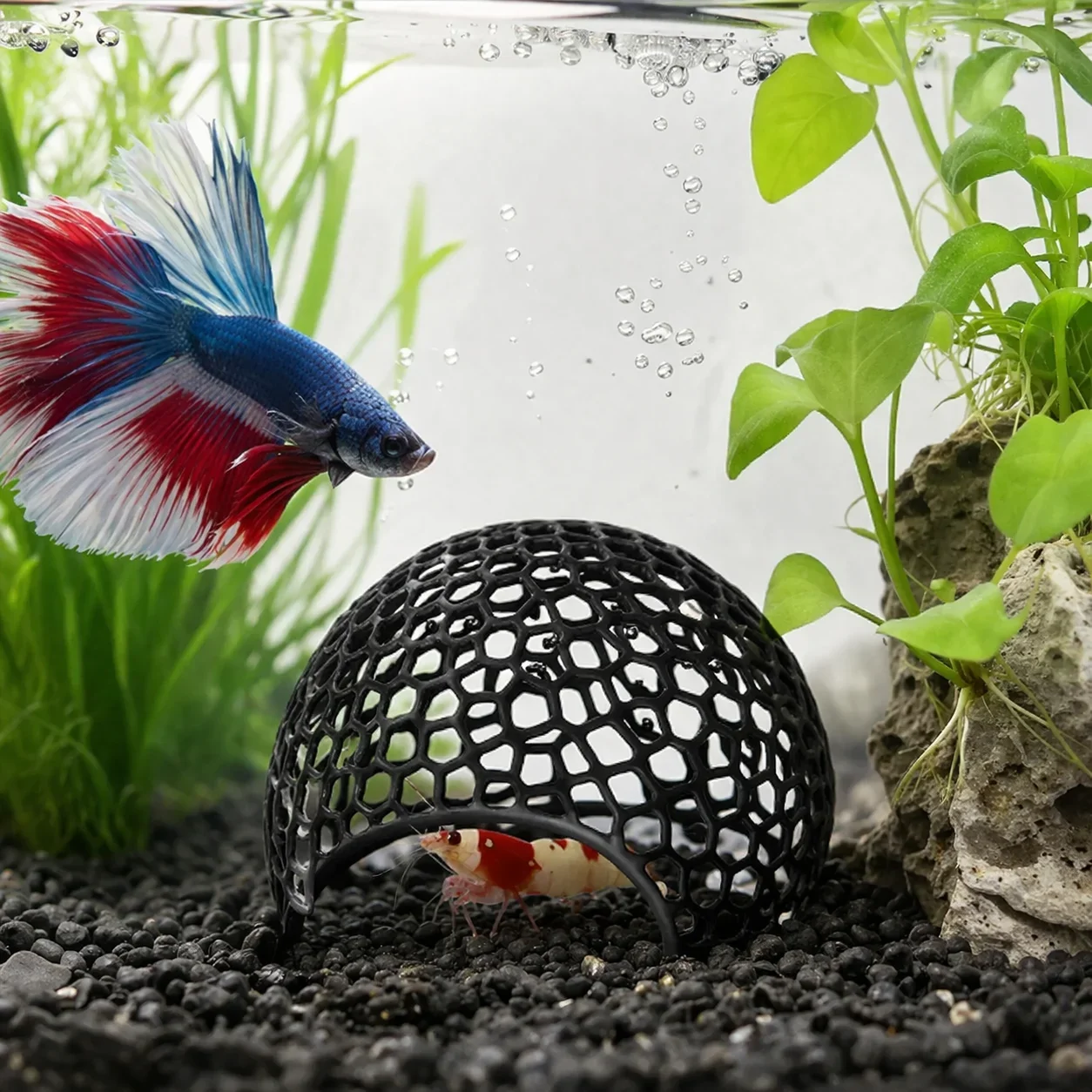 

Mini Porous Cave Shrimp House for Aquarium, Betta Fish Hiding Spot, Breeding Nest & Decorative Aquatic Ornament"