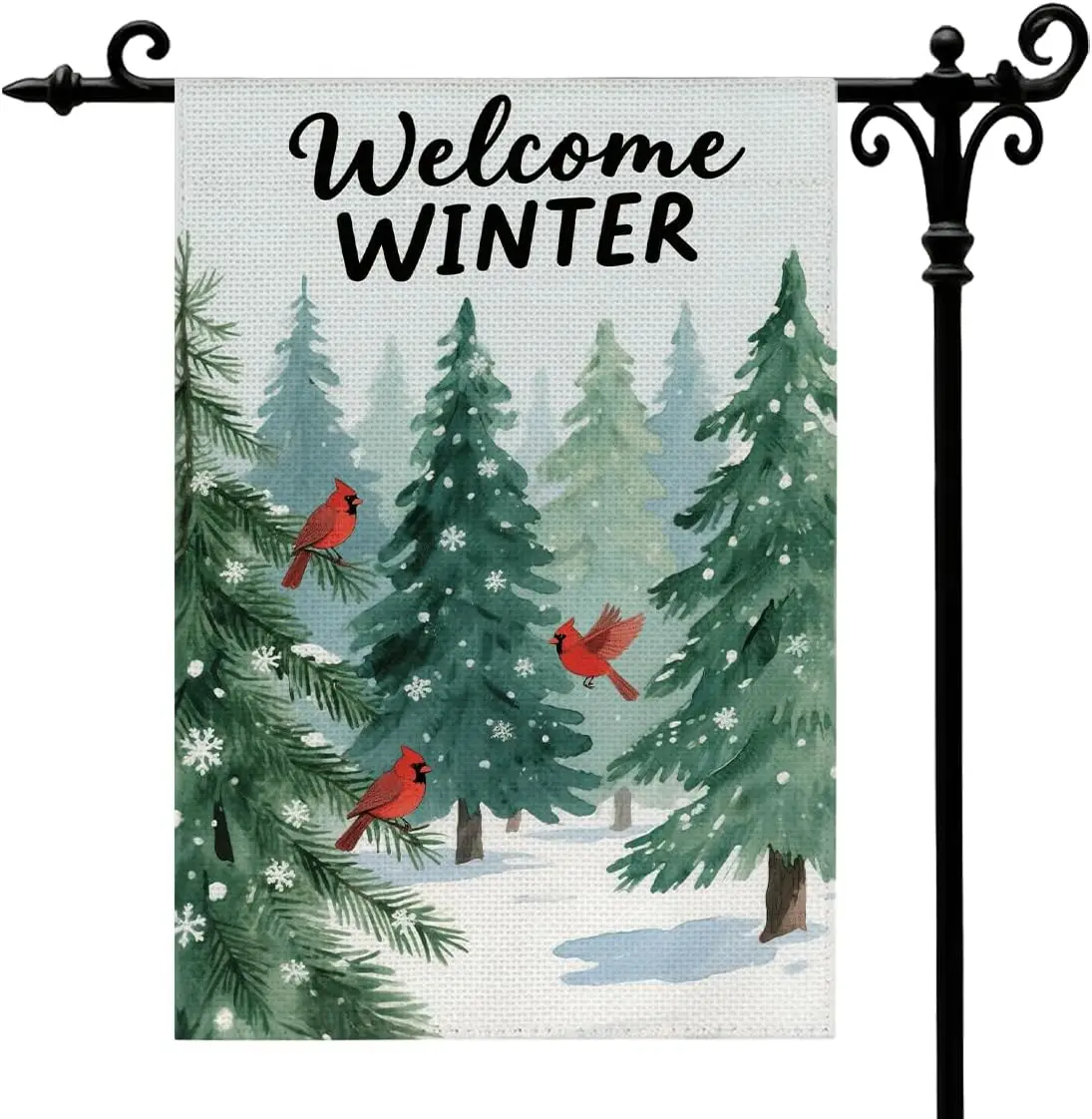 Welcome Winter Pine…