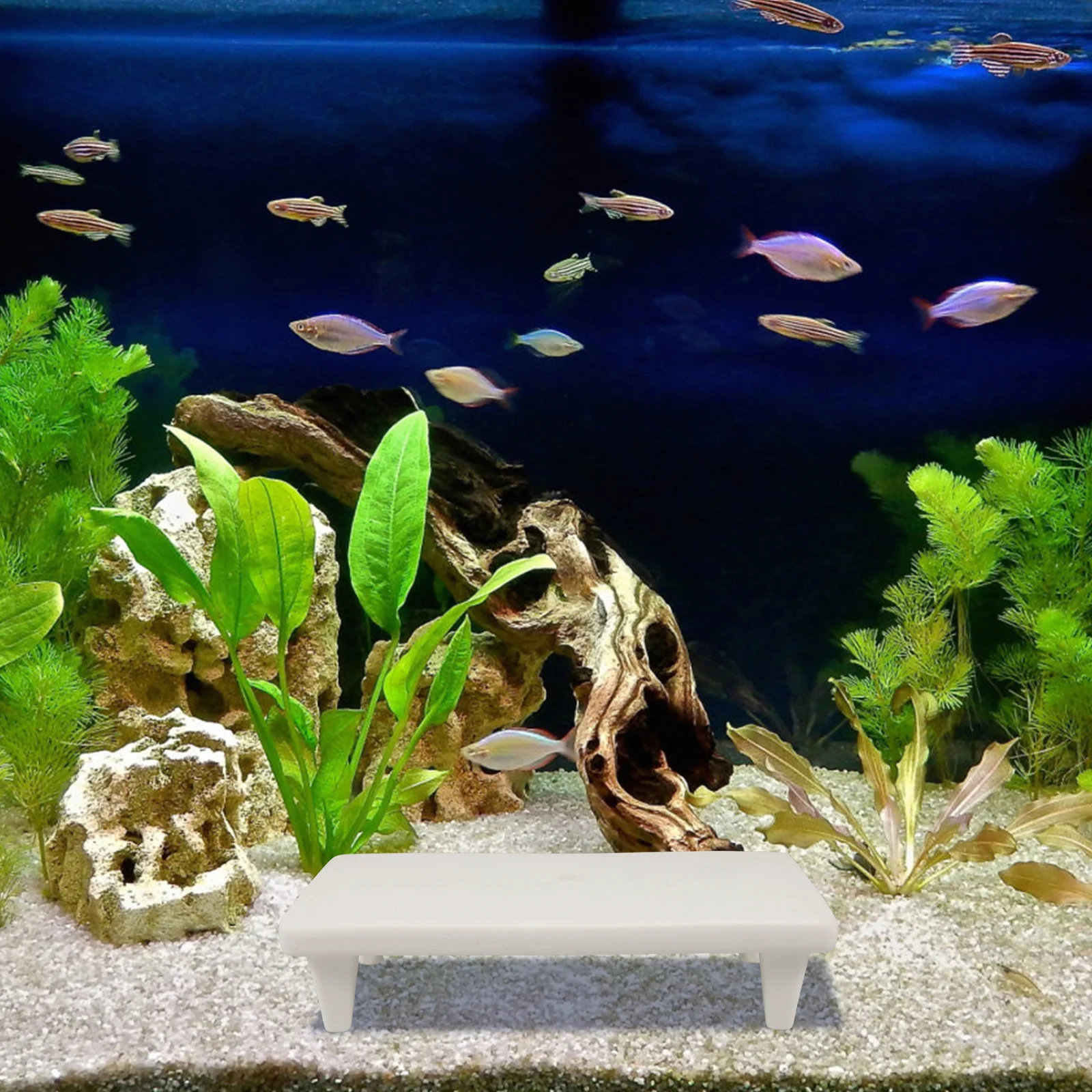 

Purple Sand Aquarium Hideaway Fish Tank Decoration Hideout Cave Cozy Shelter for Small Medium Tanks Underwater Accessory