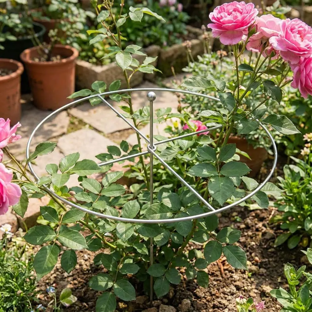 Sturdy Iron Art Metal Plant Support Ring Weather-Resistant Rust-Proof Heavy Duty Plant Cage Smooth Anti Lodging