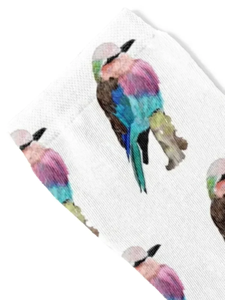 Lilac Breasted Roller Bird Socks ankle kawaii Boy Socks Women's