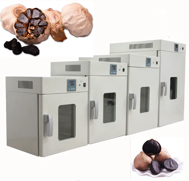 FOODLINE Luxury Pastry Shop Fermentation Tank Anti Fog Glass Door High Efficient Bakery Dough Proofer Gear