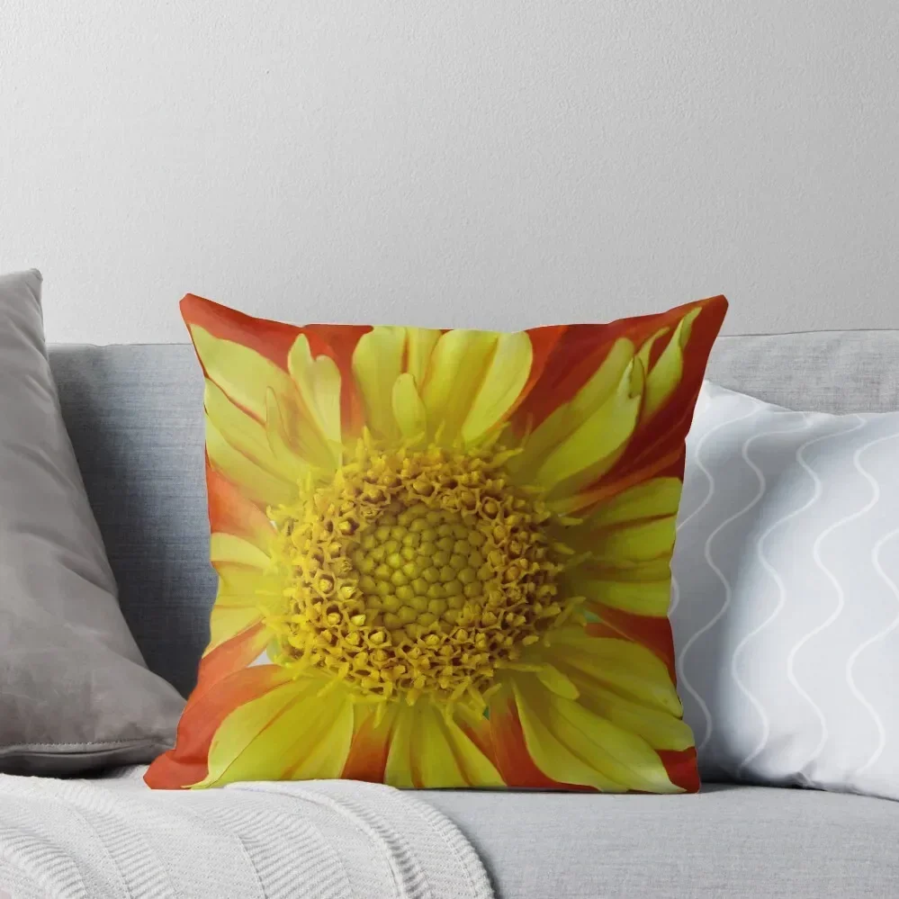 Dahlia #23 Throw Pillow Cusions Cover Covers For Sofas Sofa Cushions Covers Christmas Throw Pillows Covers pillow