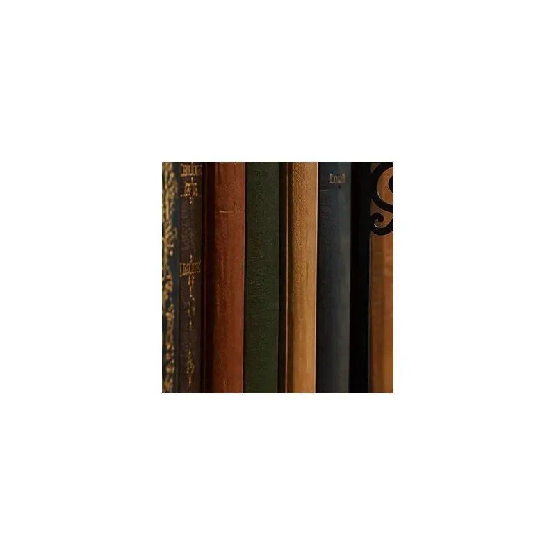 Metal Iron Owl Bookend Lamp Hanging Shelf Decor Night Light for Reading Corner Home Library