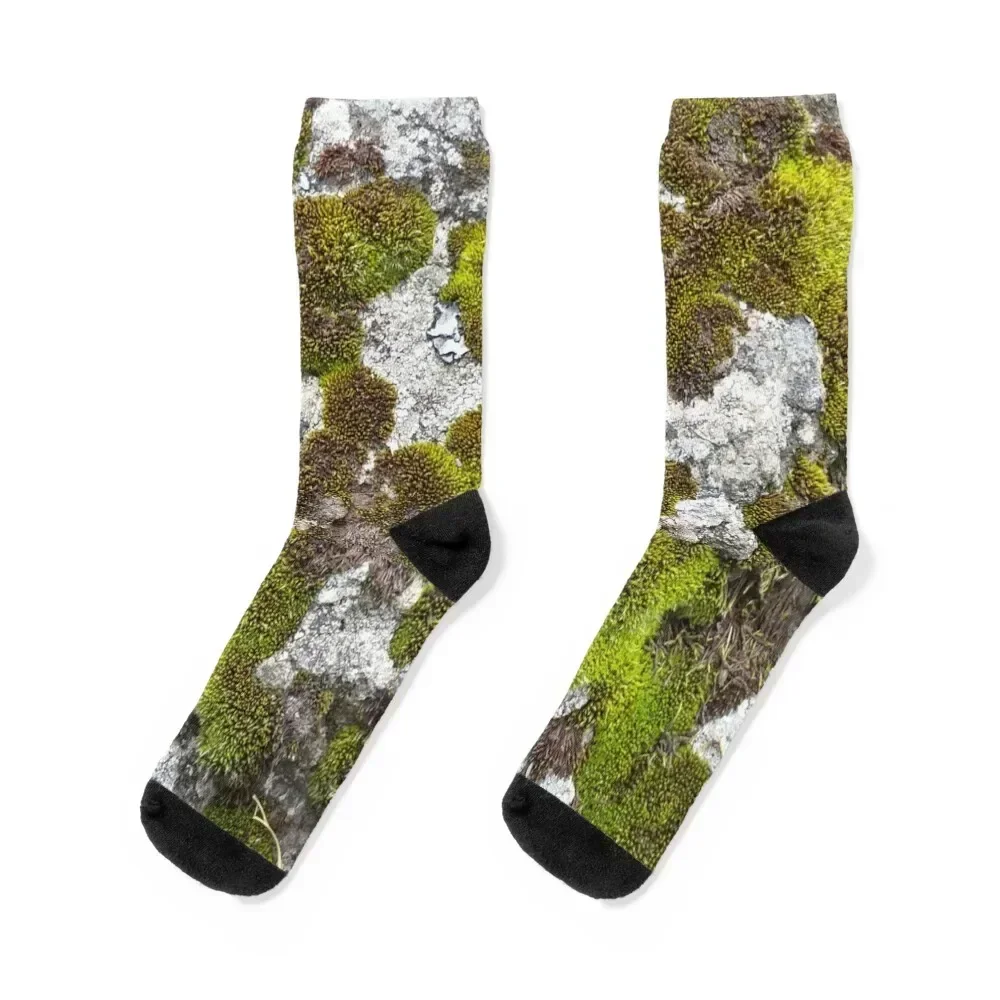 

Moss Lichen Socks christmas stocking designer Lots compression Socks For Girls Men's