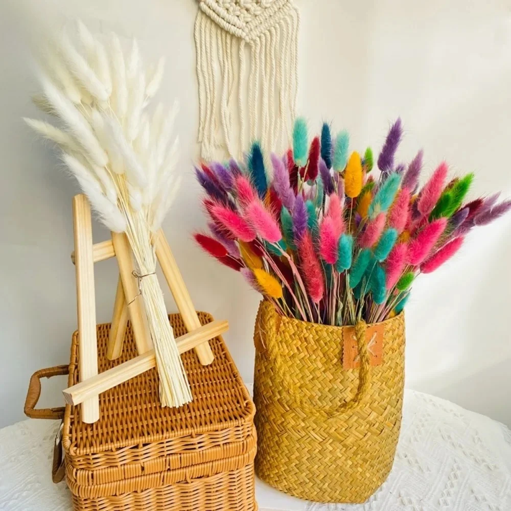 60pcs/bundle Natural Bunny Rabbit Tail Grass Dried Flower Home Decor Bouquet Colorful Lagurus Ovatus Wedding Floral Arrangements