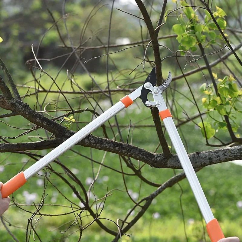 Garden Loppers High Reach Thick Branch Pruner Fruit Tree Flower Trimming Gardening Tool Fruit Tree Pruner Tree Trimmer