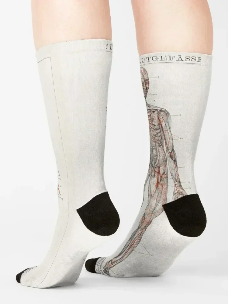 Casual look Socks Rugby basketball tennis cotton Socks Men's Women's