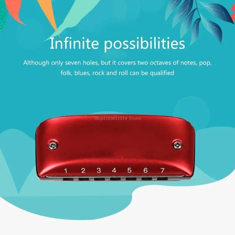 7 Hole Mini Harmonica Diatonic Harmonica with lanyards Birthday Gifts for Kids, Students and Beginners Harmonica