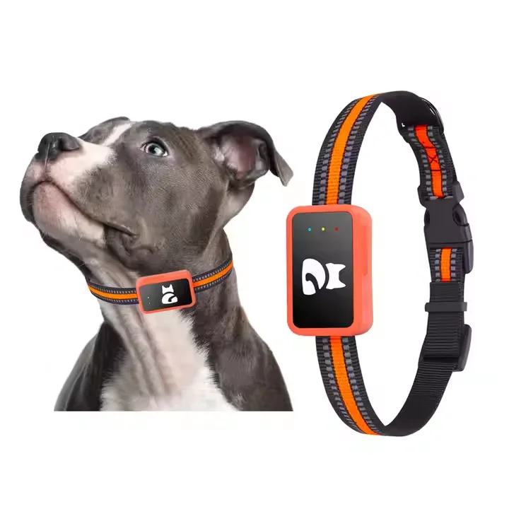 

4G Pet GPS Tracker for Dog Cat Activity Monitoring With Free APP No Subscription No Distance Restriction
