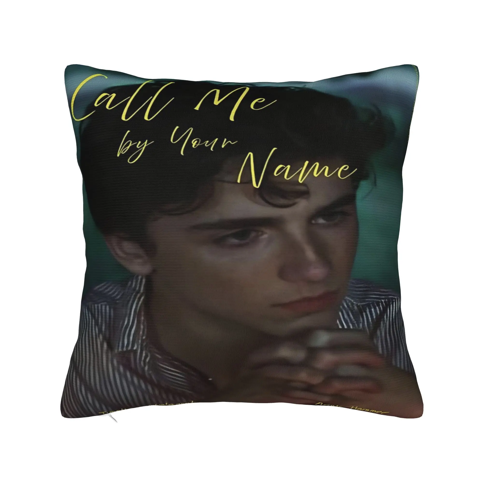 Car Decor Call Me by Your Name Pillowcases Stuff  Pillow Cover Zipper Multi Size