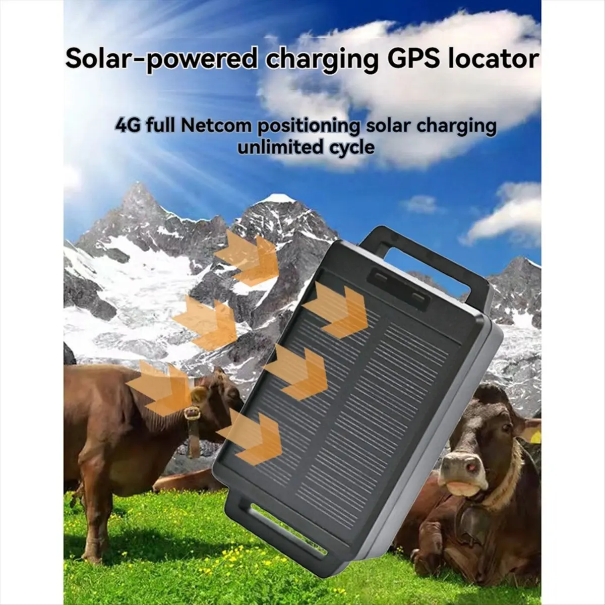 Alat Pelacak Sapi dan Domba dengan Tenaga Surya, Perangkat Pelacak Posisi untuk Peternakan, Terminal Posisi Sapi dan Domba-BCBW