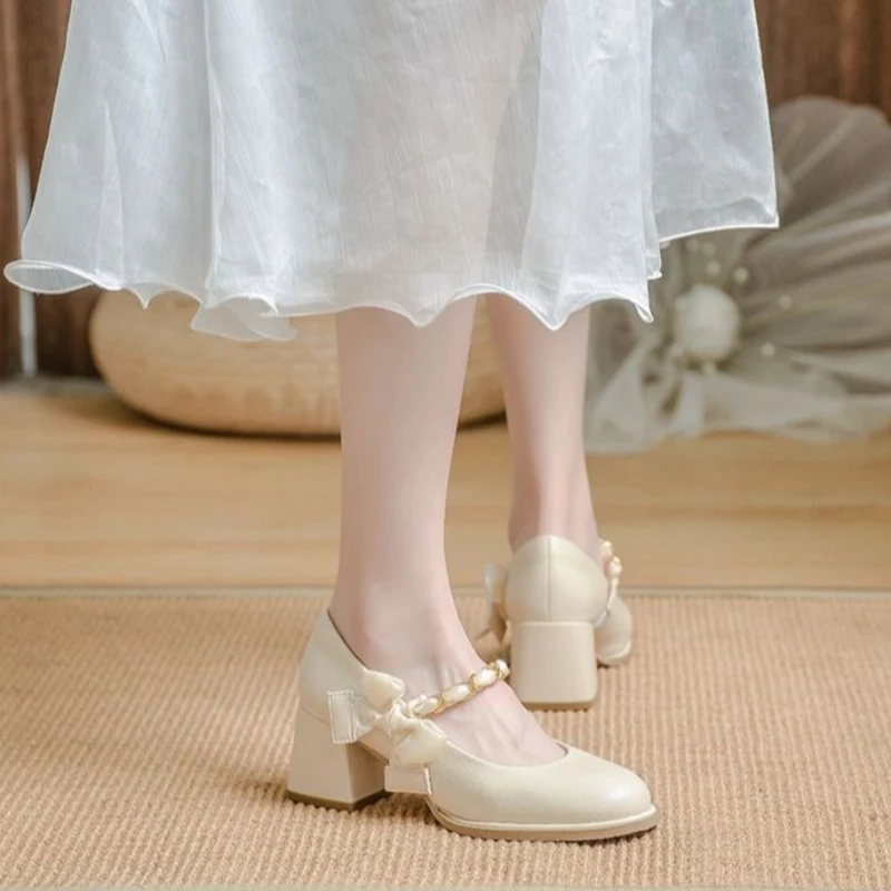 Goddess Vintage Leather Mary Jane Chunky Heel Shoes For Traditional Dress Women Sophisticated 2026 Trendy Cozy Elegant Classic
