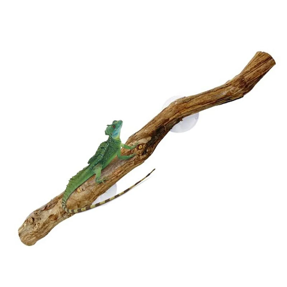 ABKO-สาขาสัตว์เลื้อยคลานสําหรับปีนเขาที่ไม่ซ้ํากัน Bearded Dragon สาขาธรรมชาติลื่น Habitat ตกแต่งสัตว์เลื้อยคลาน Decor