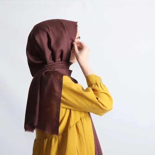 Chal Pemira The Flaml