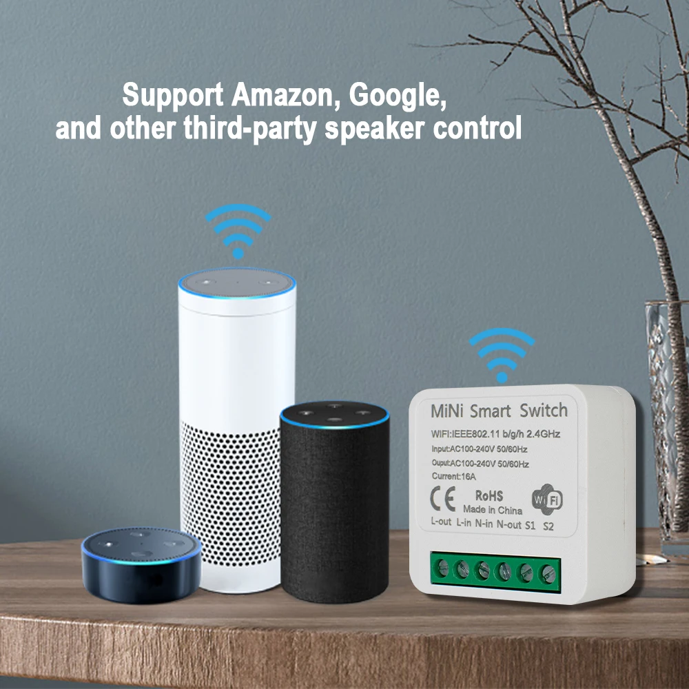 MiNi Tuya WiFi Smart Switch 16A Interruttore timer remoto a 2 vie 24V 220V Relè Funziona con Alexa Google Home Alice
