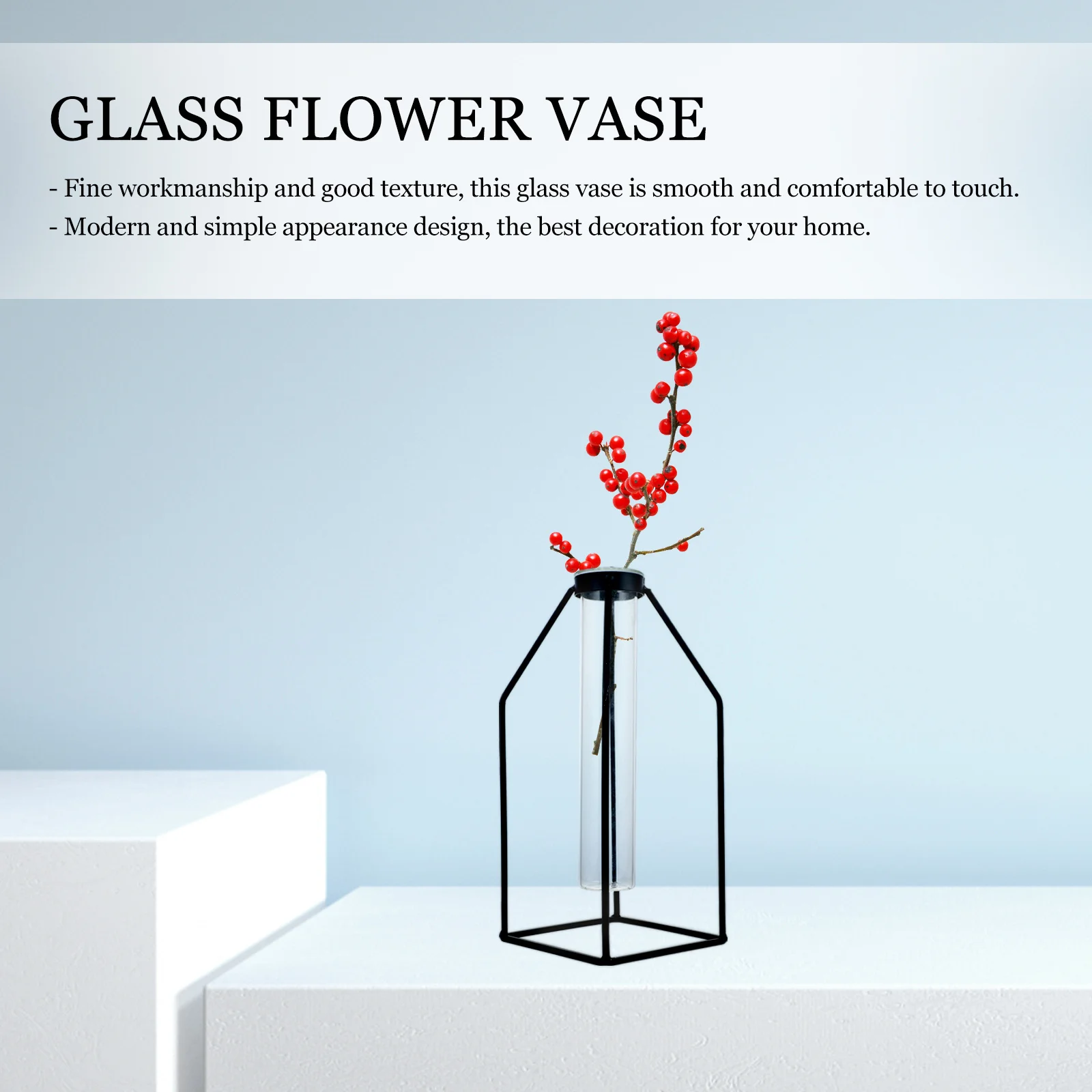 

1Set Iron Craft Vase Premium Glass Hydroponic Vase Smooth Modern Design for Home Office Decor Living Room Balcony Desktop