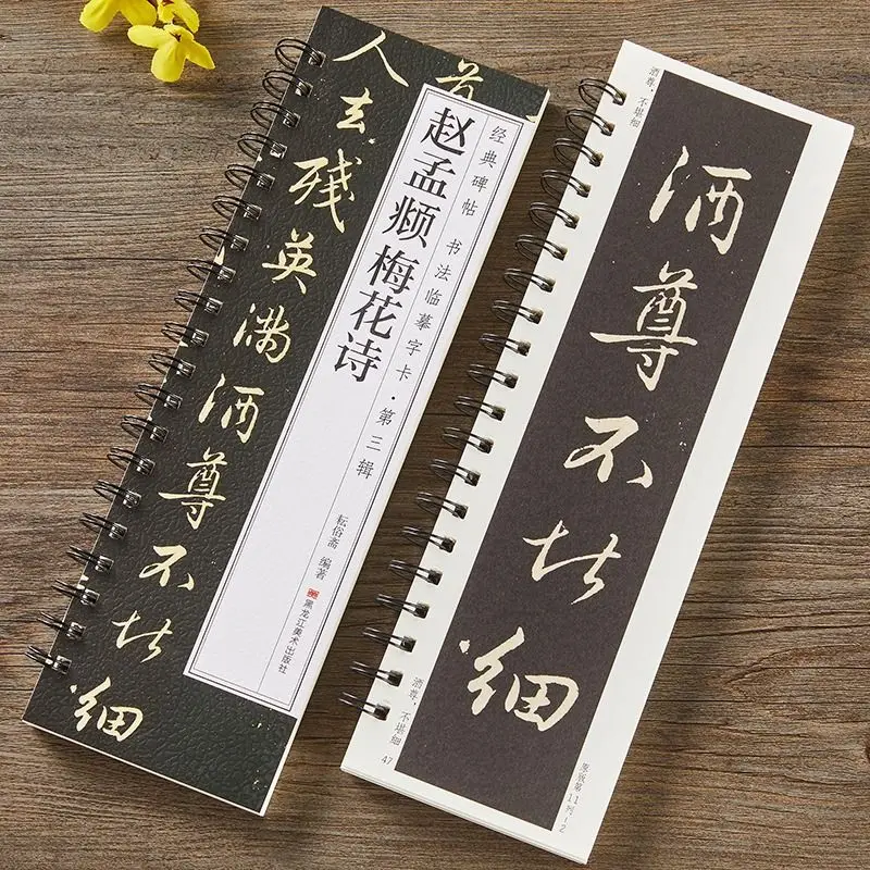 Calligraphy Copybook of Famous Artists Ancient Stone Inscriptions and Rubbings Close-Range Chinese Character Cards Tracing Books
