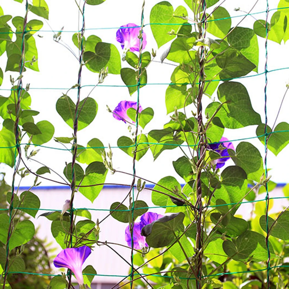 

Сетка для поддержки вьющихся растений с ячейками 10x10 см из полиэтилена для вертикального озеленения и увеличения урожайности