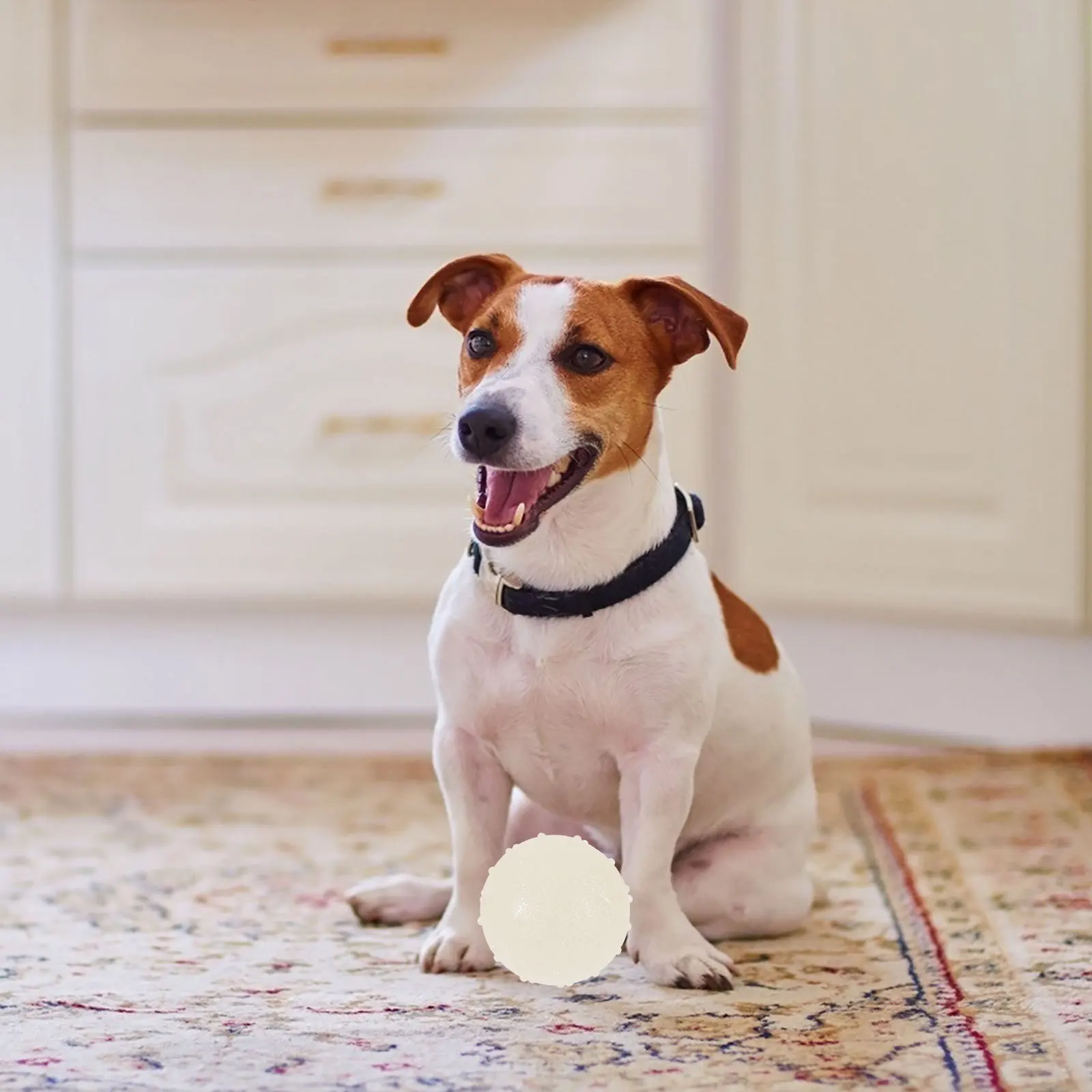 

2Pcs Glow in The Ball Biting Resistant Chewing Plaything Interactive Squeaky Pet Entertainment for Small Medium Large