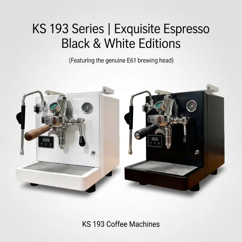 Commercial   Stainless Steel Double Pot Multifunctional Semi-Automatic Coffee Machine Steam Milk Foam Machine