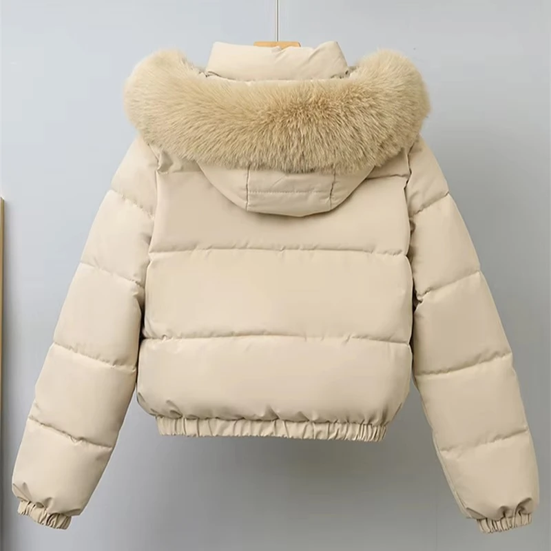 Y2k Short Parkas Women's Cotton-padded Clothes Add Velvet Thicken Outerwear Fur Collar Removable Hooded Coats Subculture Jackets