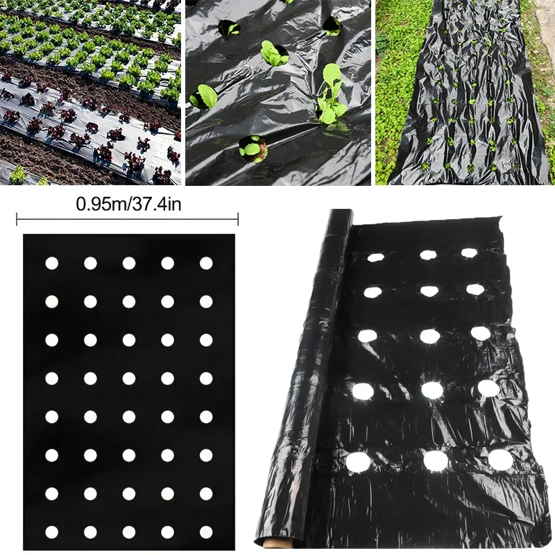 

5-Hole Black Plastic Mulch Film, Perforated Greenhouse Vegetable Film, Agricultural Seedling Moisture Film, Keep Warm Film