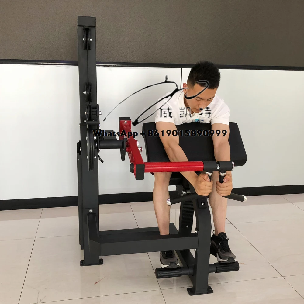 

Commercial Gym Arm Exercise Equipment Strength Training Seated Pin Load Selection Biceps Curl Triceps Extension Machine