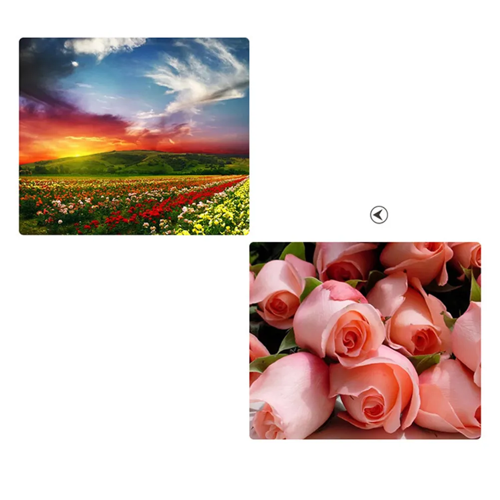 

Everlasting Preserved Roses in Glass Dome Eternal Love Gift for Wedding Anniversary Valentine's Day Girlfriend Wife Birthday