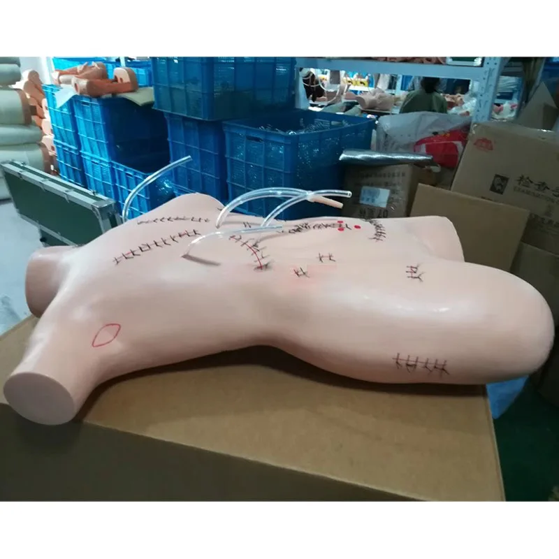 Surgical Suture and Bandaging Practice Model, Incision Suture Demo with Thread Removal and Dressing Change