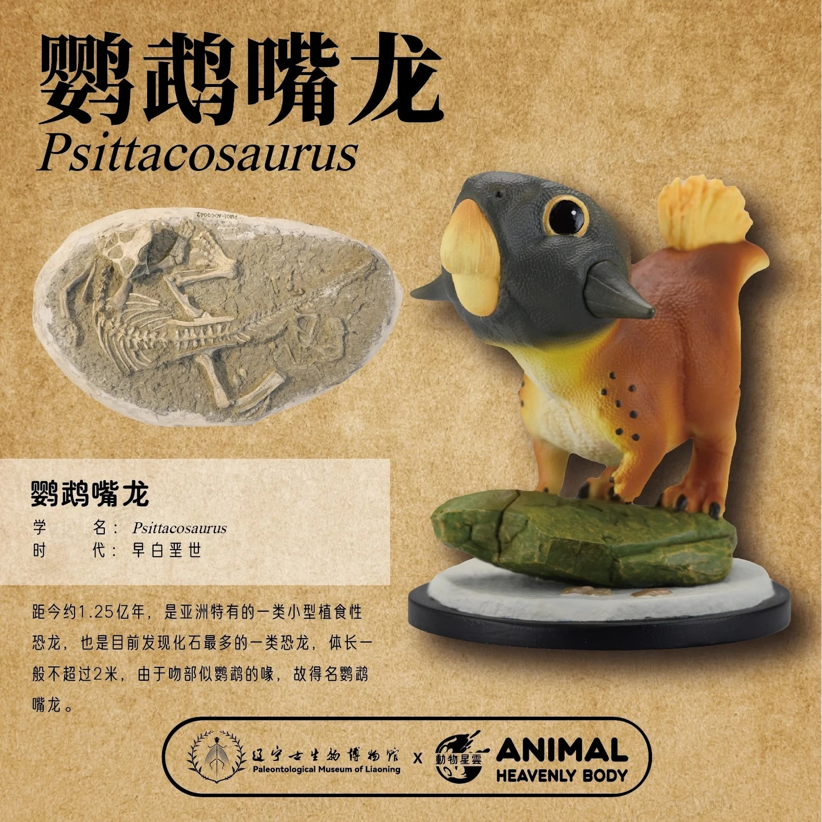 DIERENHEEMSE LICHAAM Studio Anchiornis Huxleyi Model Psittacosaurus Dinosaurus Dierencollectie Scène Decoratie