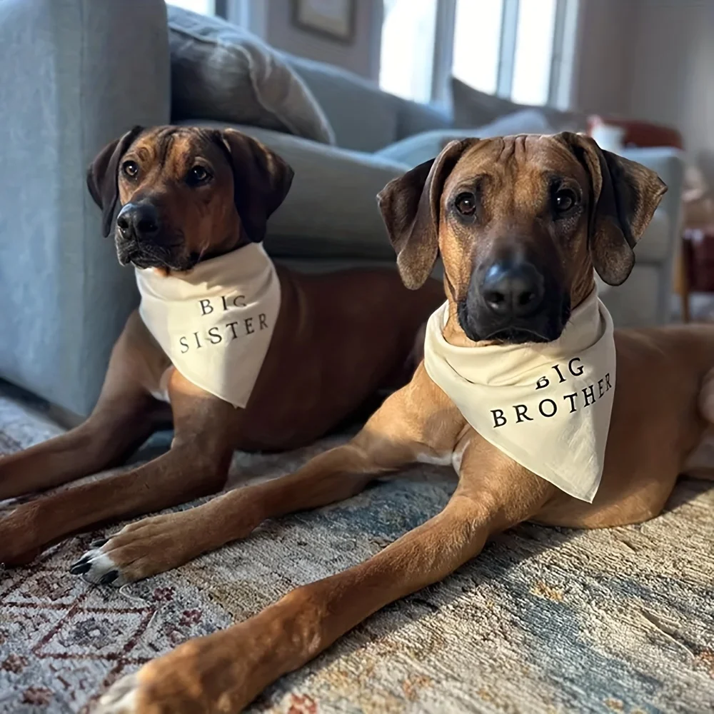 1pc Big Sister Brother Dog Bandana - Gender Reveal Pregnancy Announcement Pet Scarf with Names, Baby Shower Outfit for Puppy view 2
