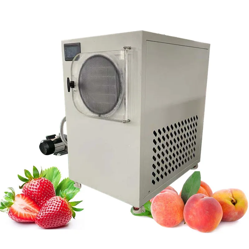 Small Machine Home Dryer Mini Food Vacuum Freeze Drying Machine Home Use Vegetable Freezer Dryer With Pump For Sale