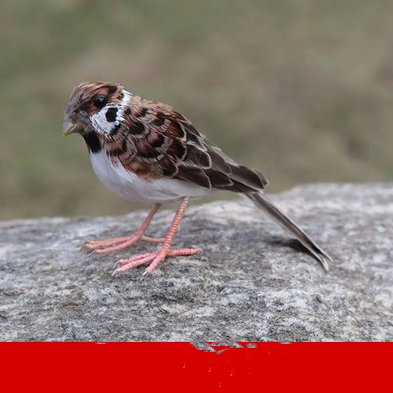 Simulation little bird foam & feather bird about 16cm Sparrow model ornaments home decoration gift y078