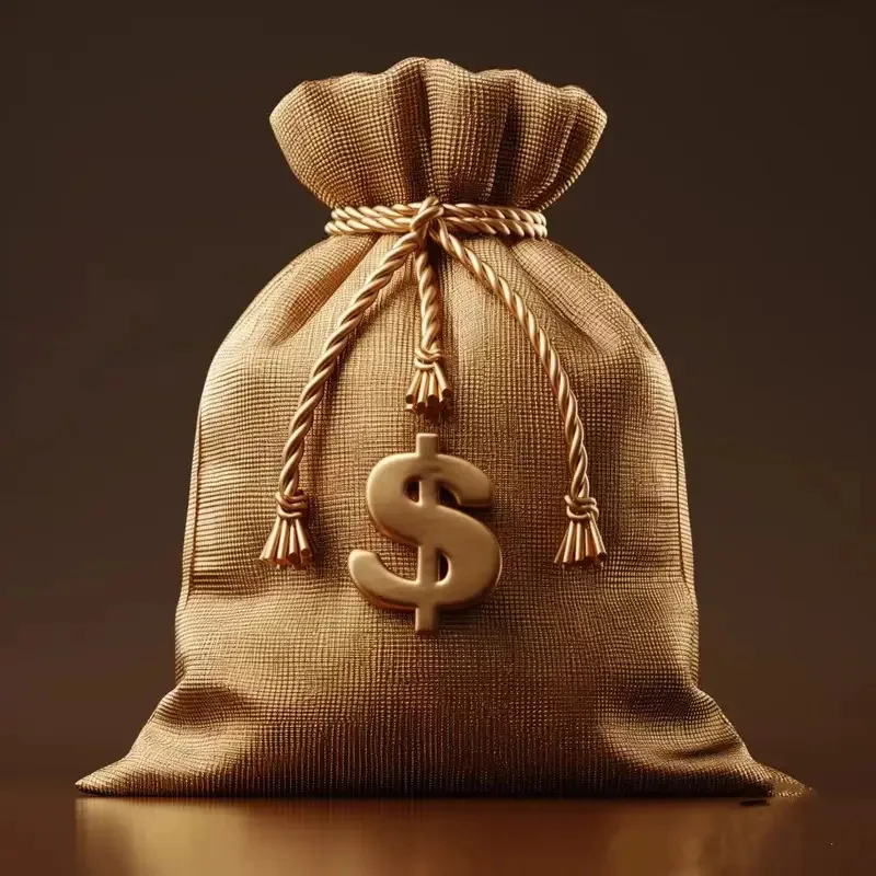 VIP shipping fee VIP