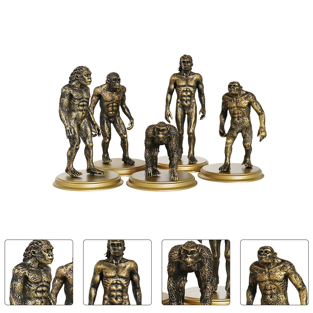 5 Pcs Human Plastic Model Toy Evolution Ape Kid Adornment Funny Primitive Simulation Child History