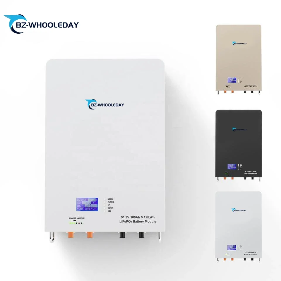 

Power wall home energy storage 51.2v 100ah lithium ion battery 48V 100Ah 5kw 10kw solar systems 48v 100ah lifepo4 battery pack