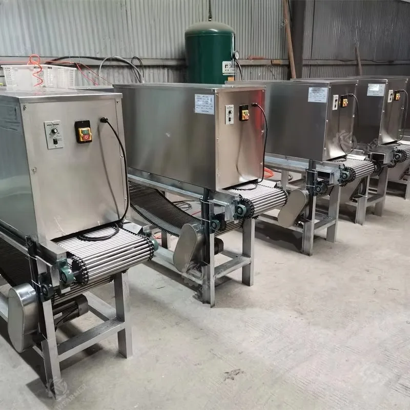 500KG/H Chain Type Garlic Peeling Machine Commercial Small Red Onion Peeler Customized