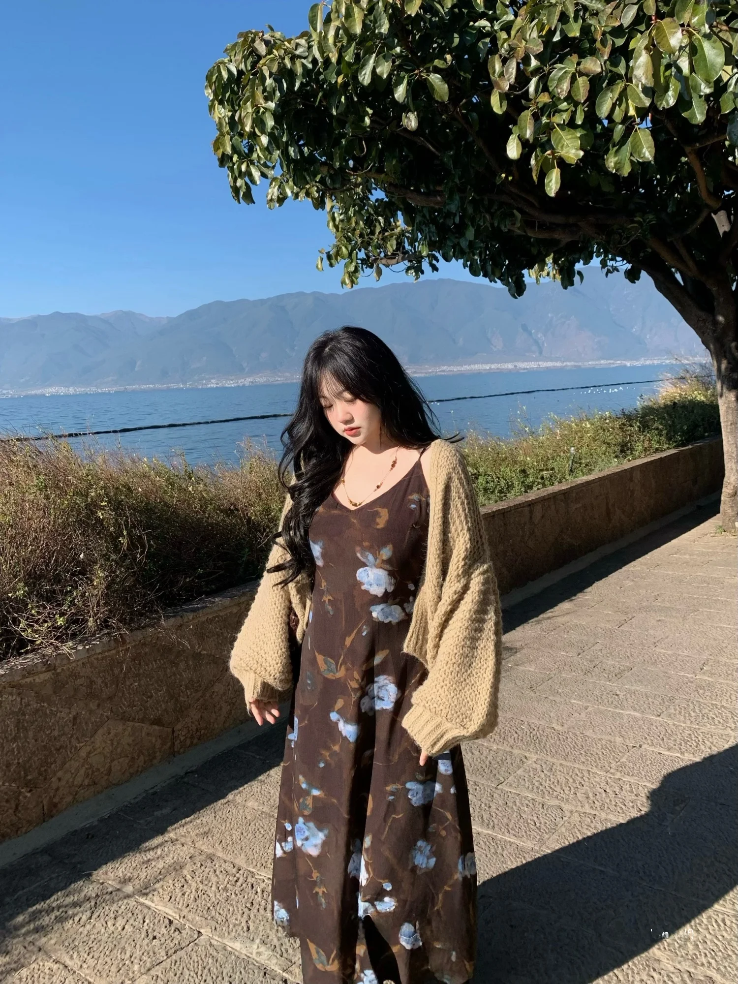 

Retro DEMA Brown Bot Blue Flower Strapl Dr Women's Summer Vaion Long Skirt A-Line Silhouette V-Ne Side Zipper