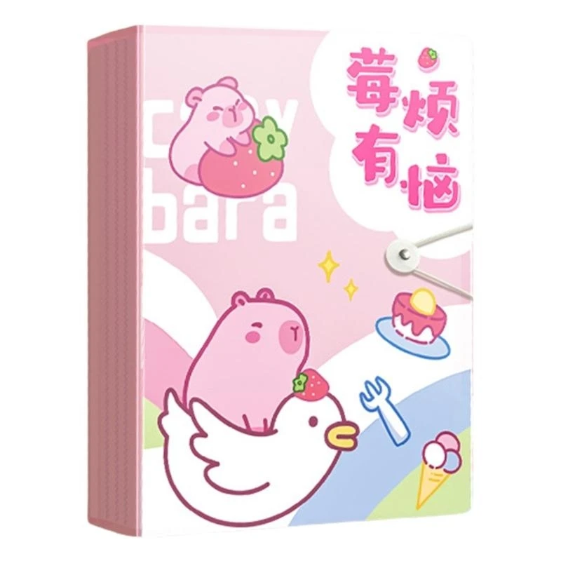 DXAB Folder Folder Plastic Certificate do dostępu do dokumentów i sortowania