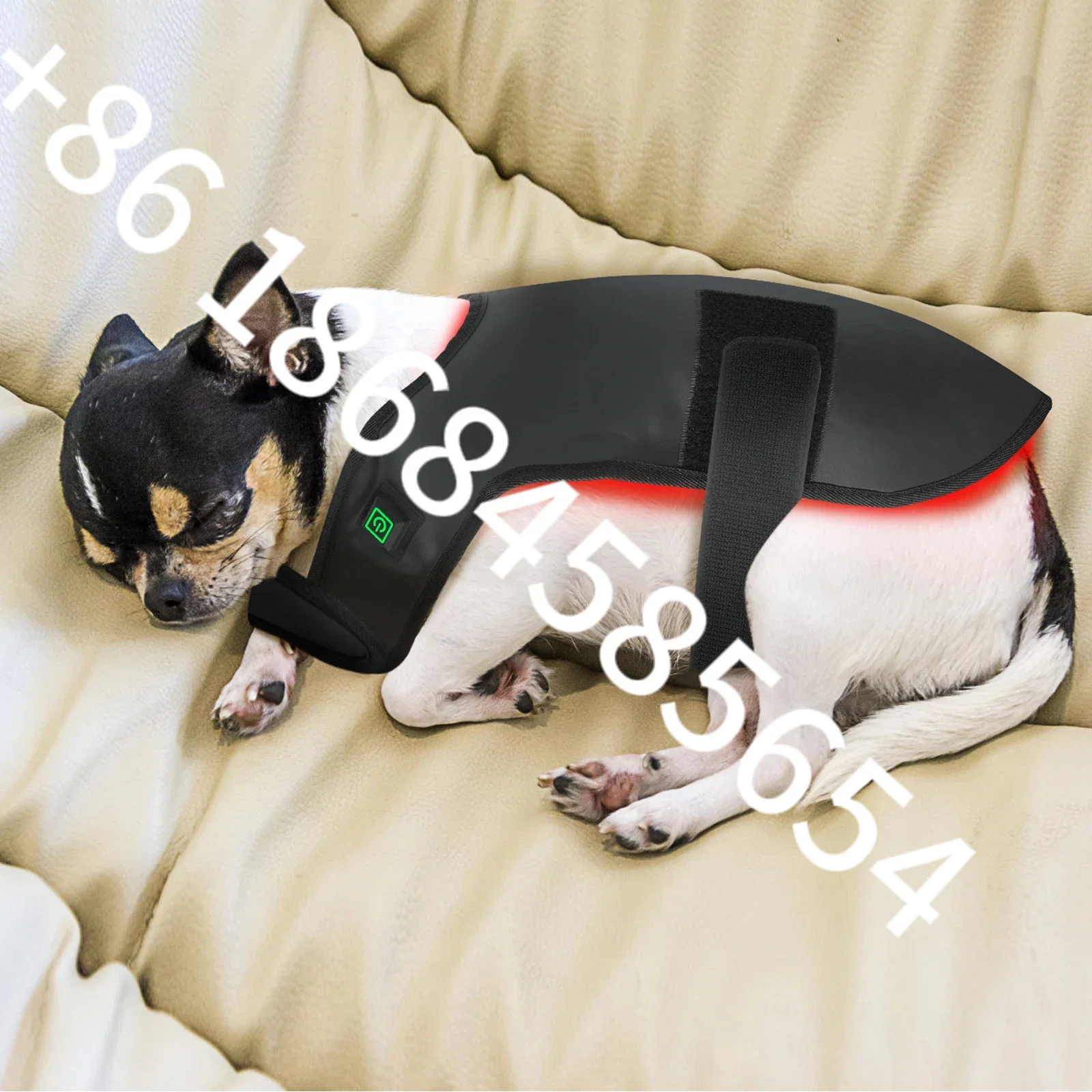 

Новый тренд, инфракрасная светотерапия, устройство для собак, пояс для терапии красным светом, инфракрасная терапия для собак