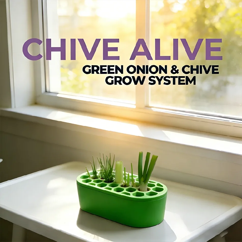 Green Onion Regrow Kit Easy Home Gardening for Balcony Windowsill Fast Regrowth Continuous Harvest
