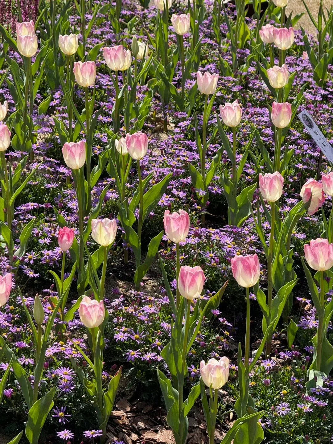 

5G SIM Android14 For BMW 5 F10 F11 F18 2009-2016 Multimedia Player Car GPS Navigation AutoStereo Radio Tape Recorder