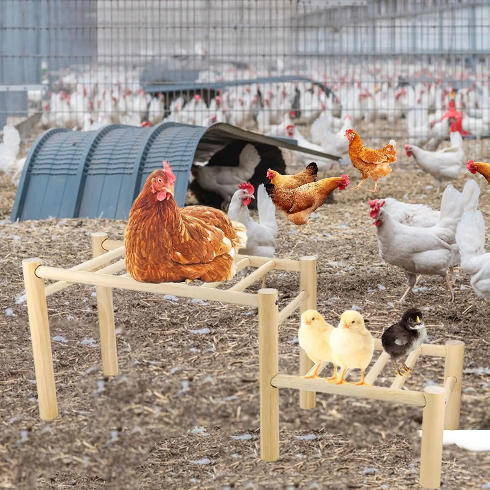 Escalera de madera para gallinero – Plataforma para gallinas y gallos - imagen 4
