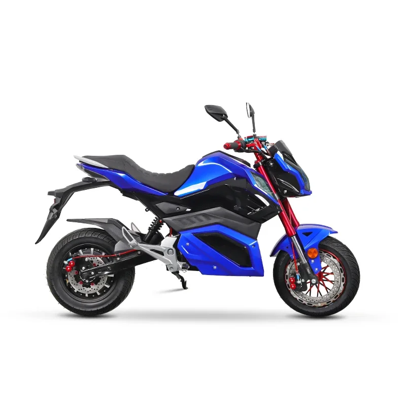 

Chinese Factory 1500W Z6 Plus High Performance Electric Motorcycle for Sale