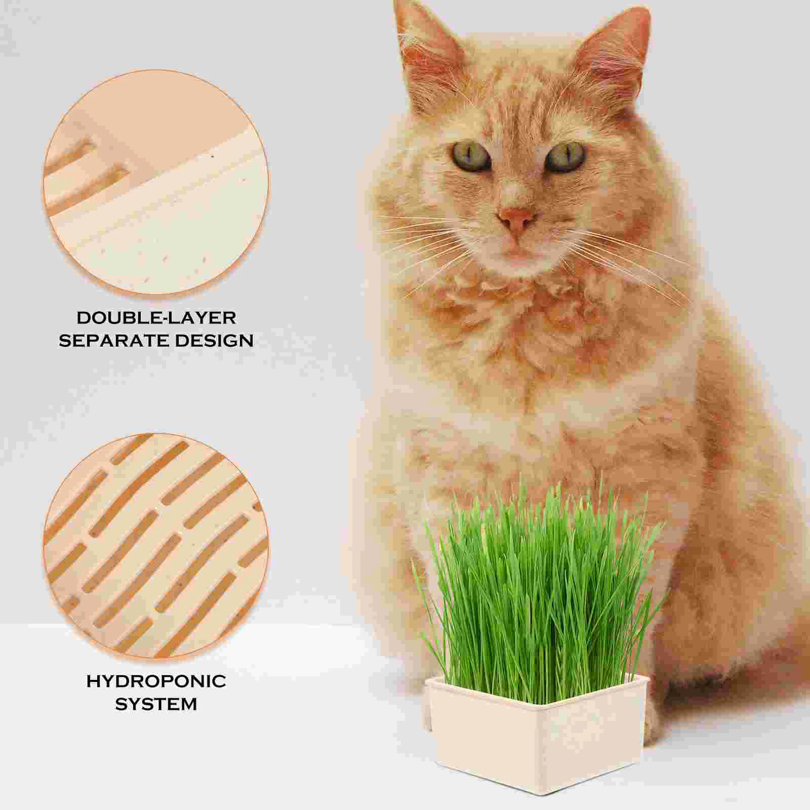 Cat Grass Box Cup Plant For Pet Convenient Planter Creative Case Household The Pot Home