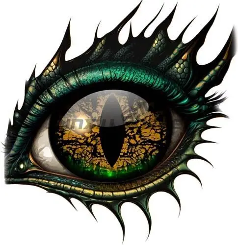 Dragon Eye Wall Art Bedroom Nursery Laptop Decor Colourful Vinyl Sticker Decal