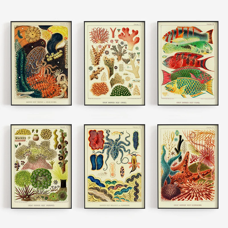 Coral Reef Colorful Sea Fish Ocean Botanical Algae Vintage Poster Print Diamond Painting Wall Art Picture for Room Home Decor