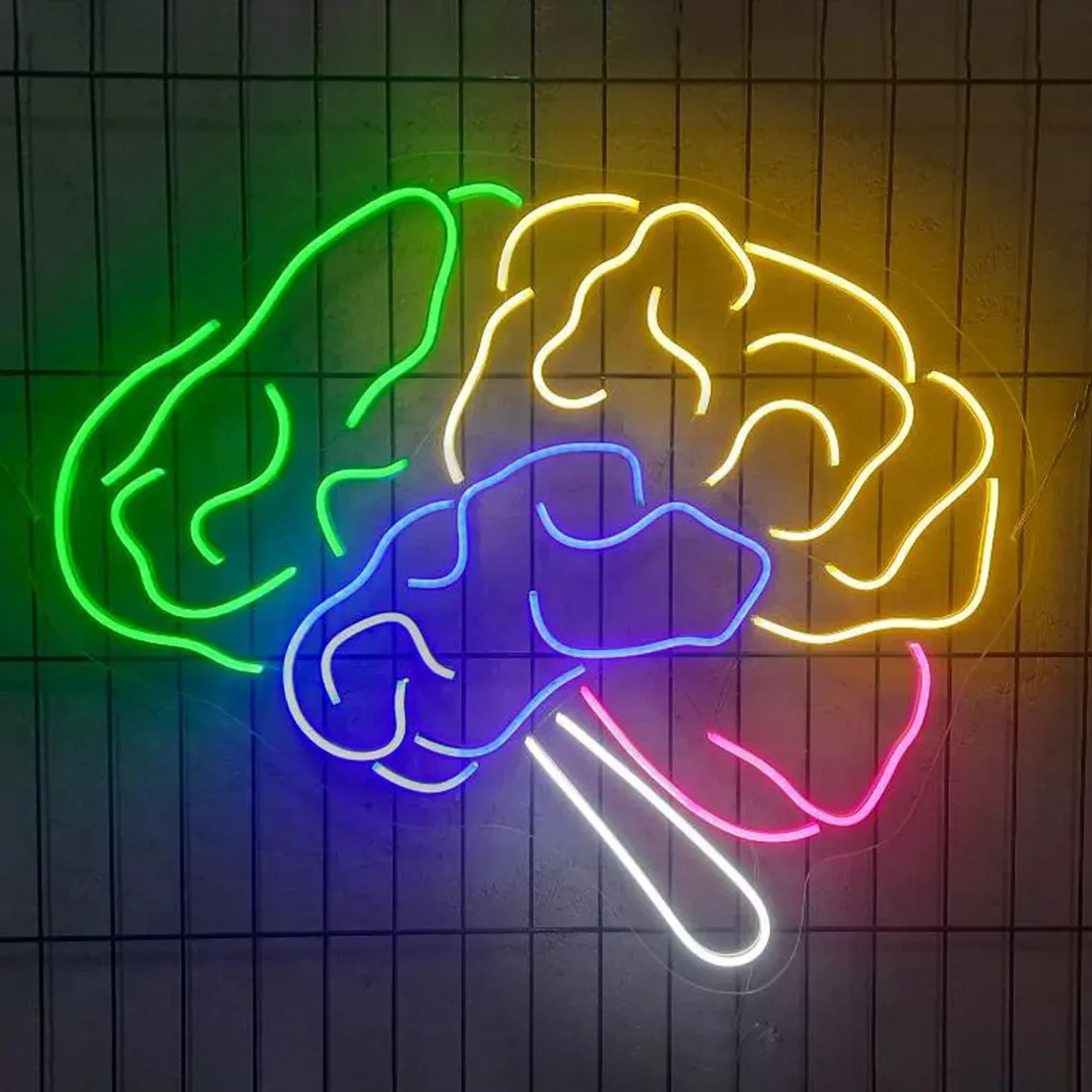 Brain Neon Sign Anatomy Brain Wall Art Decor Bedroom Home Office Handing Art Decor Science Lover Gift
